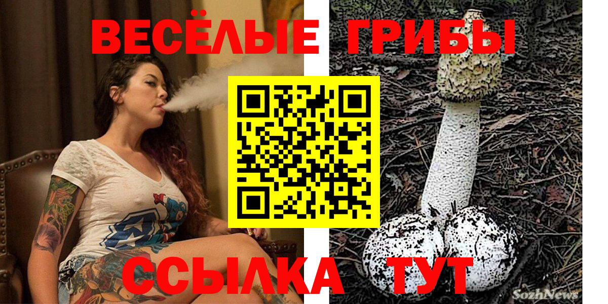 Конаково  Псилоцибиновые грибы Cubensis  Вход с VPN 